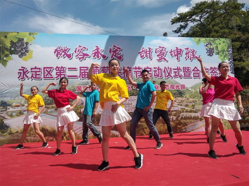 永定下洋 第二届葡萄采摘节暨合作签约仪式盛大开幕，休闲观光助力乡村振兴