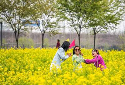 以花为媒 霓裳九州——兖州区第五届油菜花节盛大启幕，开启休闲观光新篇章